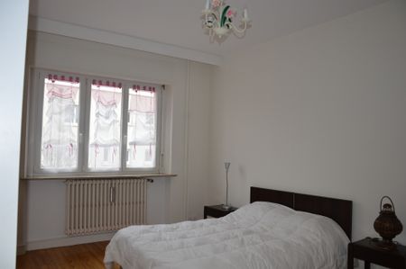 Location Appartement 3 pièces 98m² ALTKIRCH 68130 - Photo 2