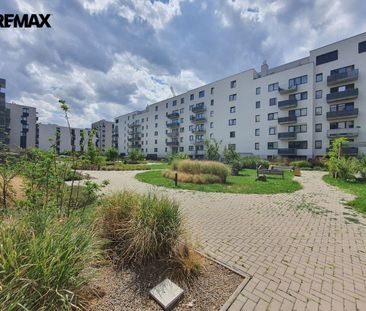 Pronájem bytu 2+kk v osobním vlastnictví 60 m², Brno - Photo 5