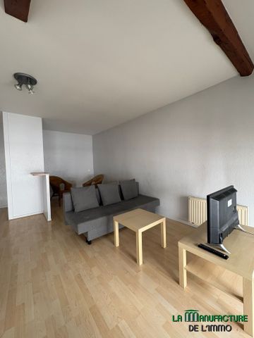 Location Appartement 1 pièce 36m² ST ETIENNE 42000 - Photo 3