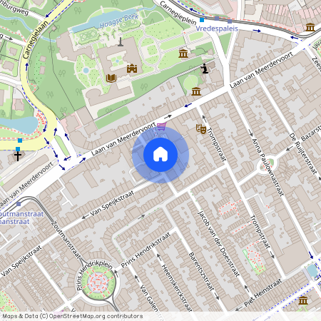 van de Spiegelstraat 19 H, 2518 ES, Den Haag