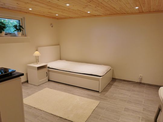 Nansensgatan, Göteborg - Foto 1