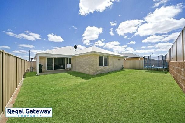 17 Neilson Street, HAMMOND PARK WA 6164 - Photo 1