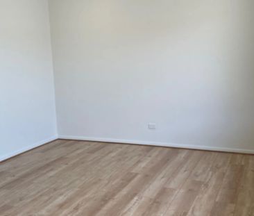 Spacious and Super Affordable ! 2 Bedroom Unit in the heart of Otto... - Photo 2