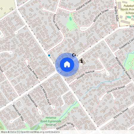 Pukekohe, 112 Princes Street