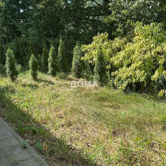 Mieszkanie mazowieckie Halinów powierzchnia 65.0 m² C261-WM-46976 - Photo 1