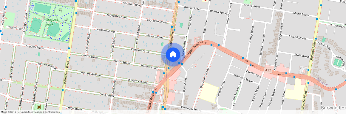 190 The Boulevarde Strathfield NSW, Inner West