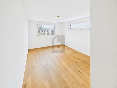 GREEN OASIS WITH LOTS OF EQUIPMENT - Photo 2