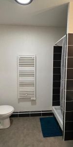 Location Appartement 1 pièce 20m² CALUIRE ET CUIRE 69300 - Photo 4