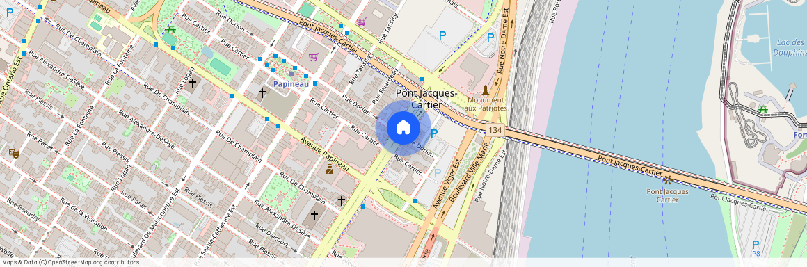 1869 Boulevard René-Lévesque Est, Ville-Marie, Montréal