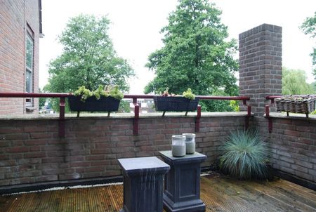 Goudmos 174 - Foto 4