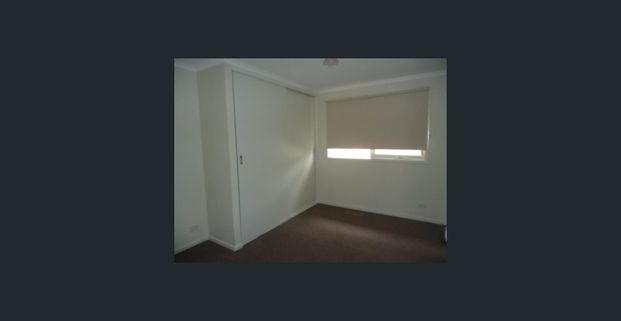 IN AMONGST THE TREE TOP! - Photo 1