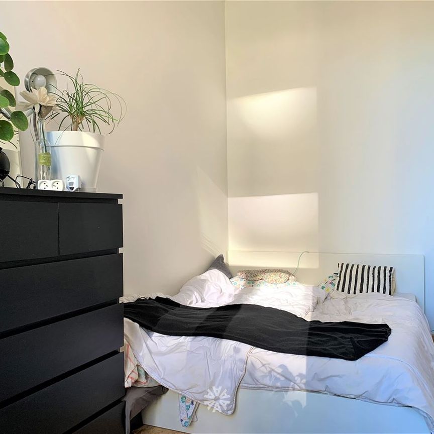 Appartement te huur in Gent - Photo 1