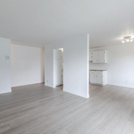 Appartement 4 ½ à louer Lévis novembre 2025 - Photo 3