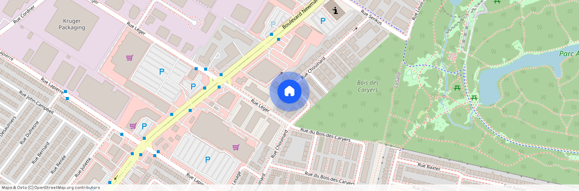 7275 Rue Chouinard, Montréal (LaSalle), H8N 3B4