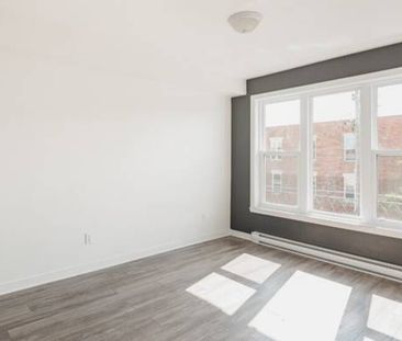 Semi-Renovated Spacious and Bright Studio (2 ½) in Rosemont - Photo 2