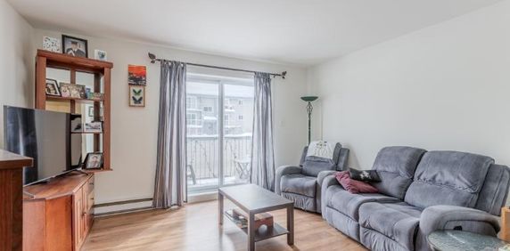 Appartement 4 ½ à louer Lévis janvier 2026 - Photo 2