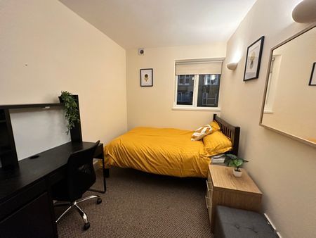 Room in a Shared House, Milton Road, SO15 - Photo 4