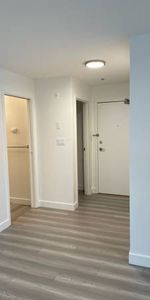 Large Renovated 1 Bedroom in Great Location - Photo 3