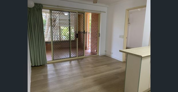 A Quiet Sanctuary Away from The Bustle of The Inner-City with New Flooring, New Paint and New Cooking Appliance. - Photo 1