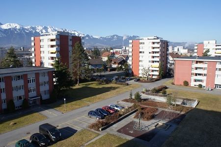 "Direkt an der Aare - nicht nur perfekt für Singles!" - Foto 2