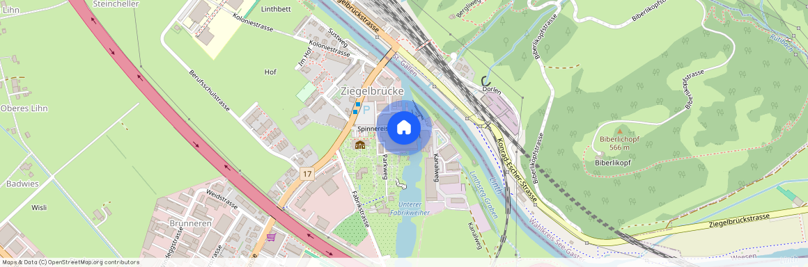 8866, Ziegelbrücke, Spinnereistrasse, 8