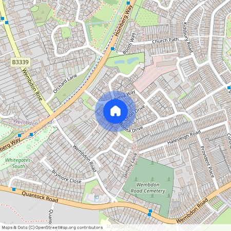 Bonita Drive, Wembdon, Bridgwater, Somerset, TA6