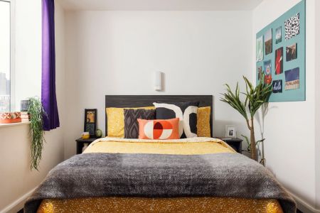 Large High Double Studio - Photo 5