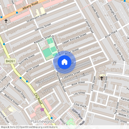 Treharris Street, CF24 3HL, Roath