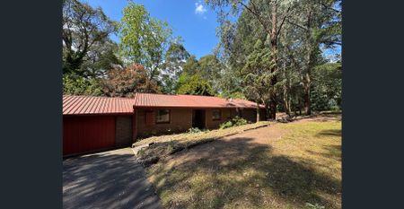 Charming Unit - Walk to Town - Photo 2