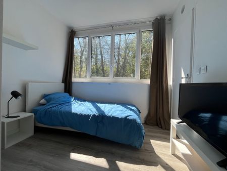 Parc Saint Cyr - Appartement 3 pièces meublé - Photo 3