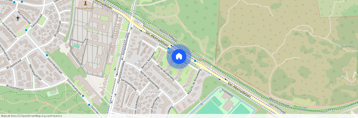 Duttendel, 2597 BJ, Van Alkemadelaan, Den Haag