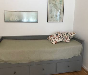 Polcirkelvägen, Vega - Photo 5