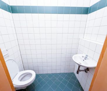 Charmante Mietwohnung mit Dachterrasse in St. Stefan im Rosental …! - Photo 6