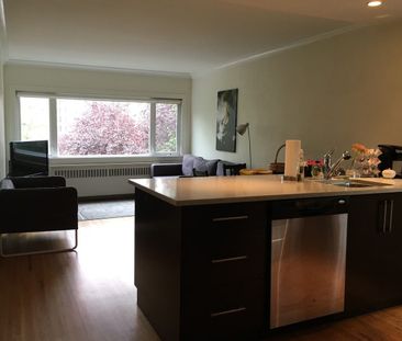 1540 Haro Street apartment — Vancouver, BC (1-Bedroom) - 1 Bedroom - Photo 5