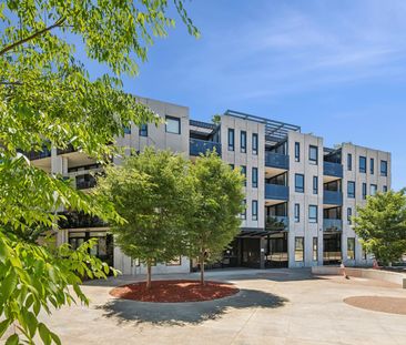 9/11 Kerridge Street, Kingston ACT 2604 - Apartment For Rent | Domain - Photo 5