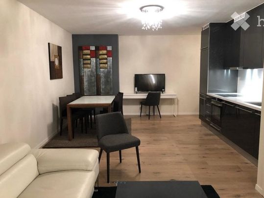 2.5 Zimmer, 50 m² - Photo 1