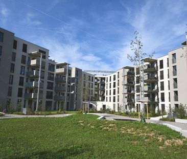 Neu erstellte 3.5-Zimmerwohnung zu vermieten - Photo 5