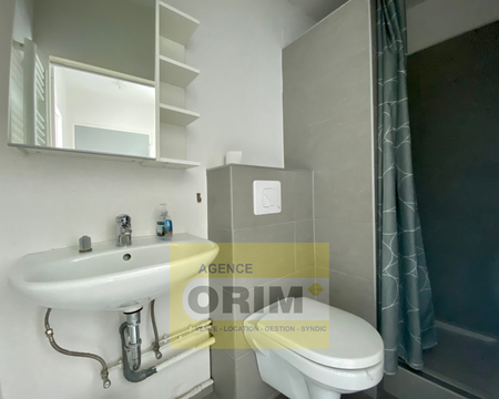 Location Appartement 2 pièces 25m² ST LOUIS 68300 - Photo 5