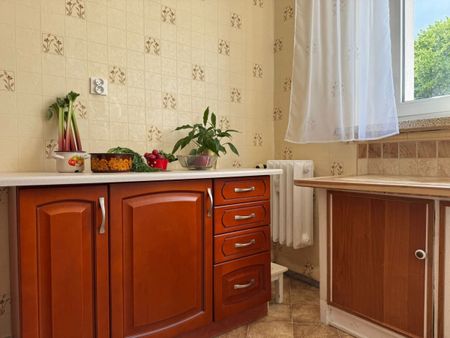 Drzewa za oknem, 2 pokoje, oddzielna kuchnia 43.4 m² - Zdjęcie 5