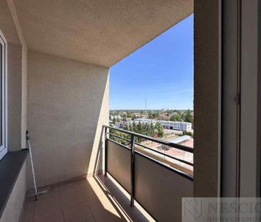 Siedlce - Zdjęcie 4