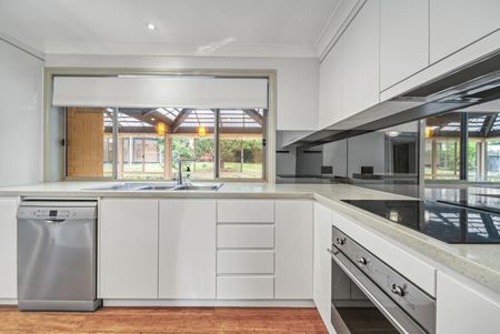 21 McClelland Avenue, Nicholls ACT 2913 - House For Rent | Domain - Photo 2