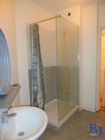 Location Appartement 2 pièces 56m² GRENOBLE 38000 - Photo 2