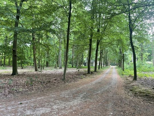 Te huur: Huis Groteweg in Wapenveld - Foto 1