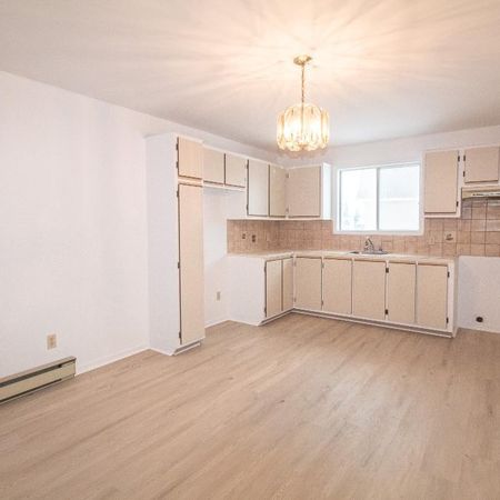 Magnifique 3 1/2 à louer à Terrebonne - Photo 3