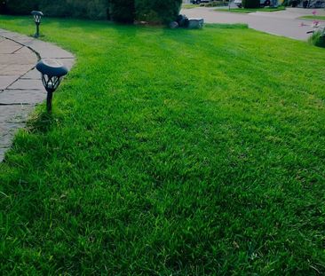 For Lease - 936 Goring Circle Unit# Second Floor room A, Newmarket,... - Photo 6
