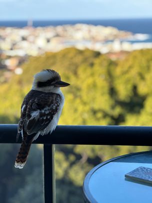 Bondi - Photo 1