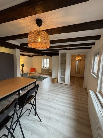 Appartement 1 pièce à Strasbourg - Photo 3