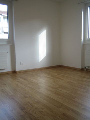 Home in beautiful Arlesheim - Basel Land - Photo 4