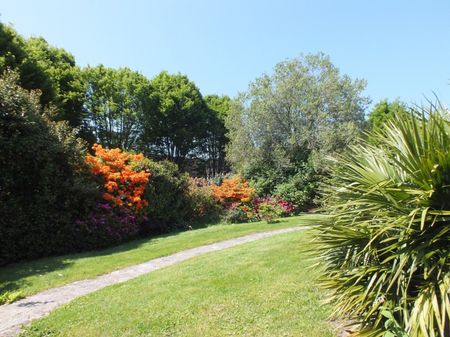 West Hill, Ottery St. Mary - Photo 4