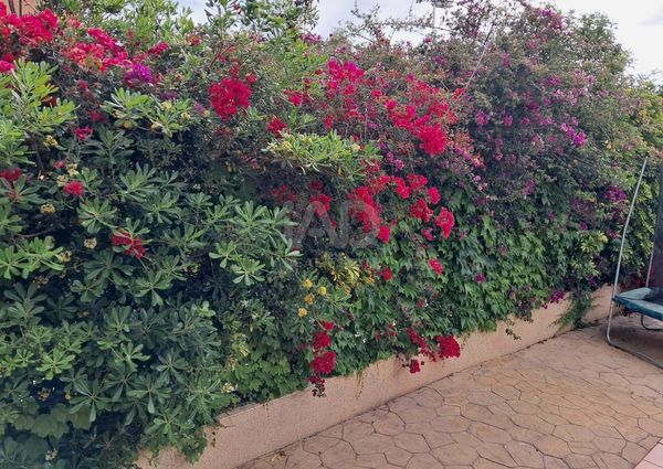 Alicante, Valencian Community 03130